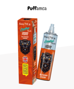 saltica 12000 puff puffamca.com.tr