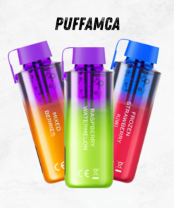 Vozol Neon 10000 Puff puffamca.com.tr